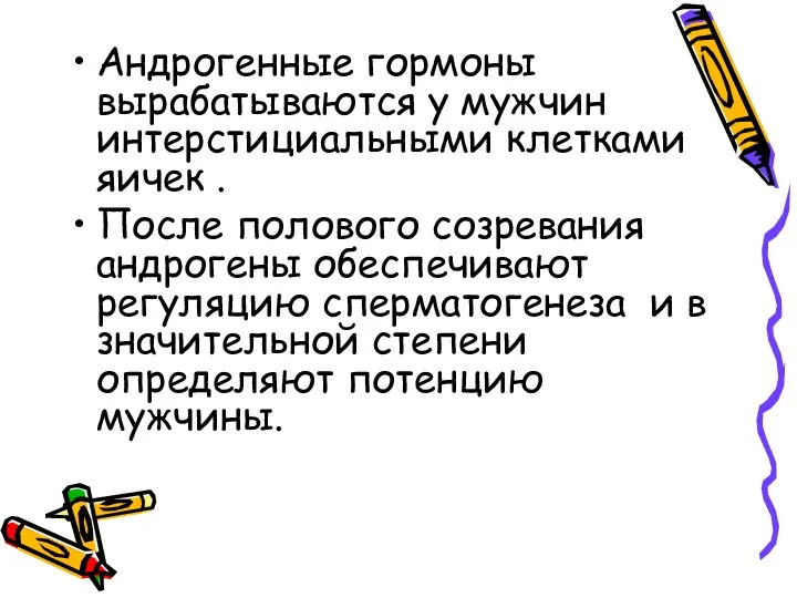 Андрогенные гормоны вырабатываются у мужчин интерстициальными клетками яичек . После