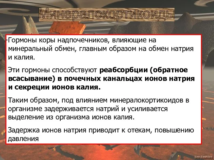 Минералокортикоиды Гормоны коры надпочечников, влияющие на минеральный обмен, главным образом