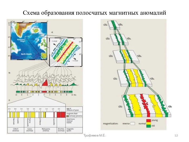 Схема образования полосчатых магнитных аномалий Трофимов М.Е.