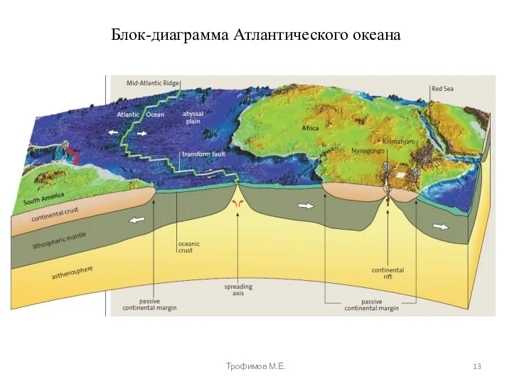 Блок-диаграмма Атлантического океана Трофимов М.Е.