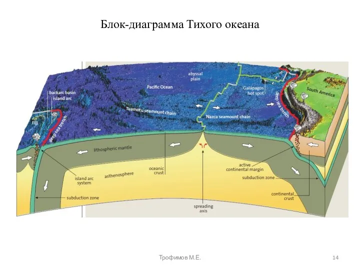 Блок-диаграмма Тихого океана Трофимов М.Е.