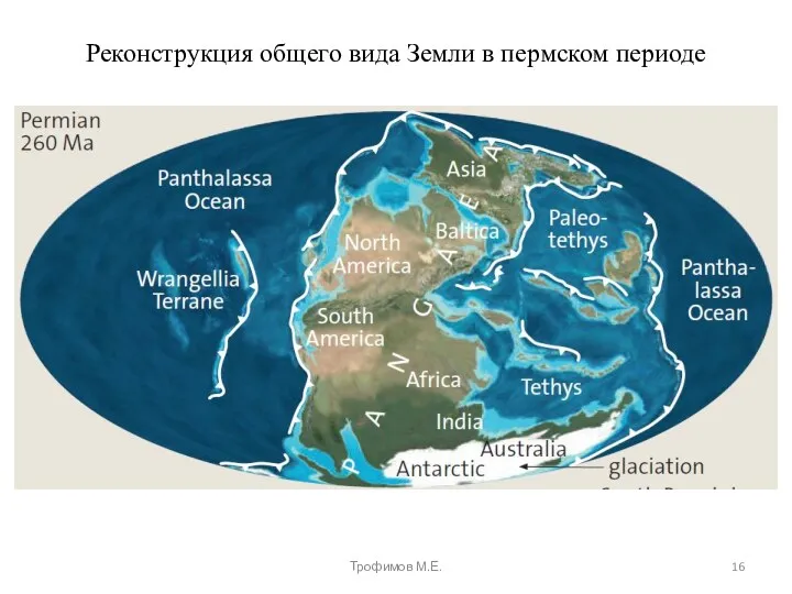 Реконструкция общего вида Земли в пермском периоде Трофимов М.Е.
