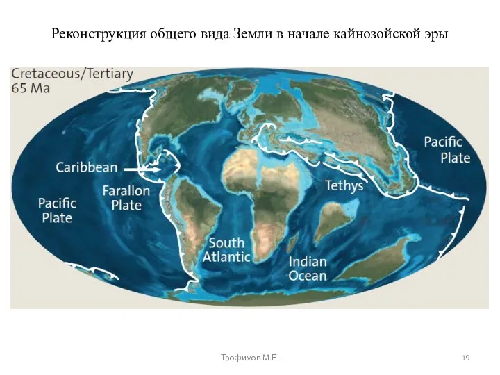 Реконструкция общего вида Земли в начале кайнозойской эры Трофимов М.Е.
