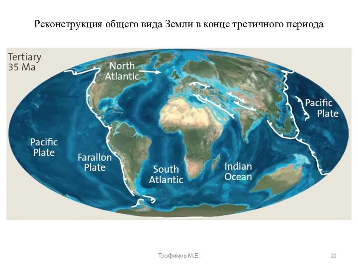 Реконструкция общего вида Земли в конце третичного периода Трофимов М.Е.