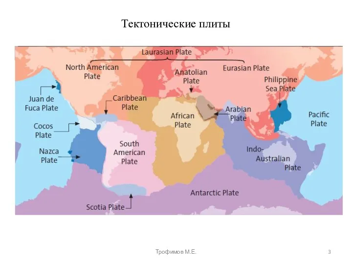 Тектонические плиты Трофимов М.Е.