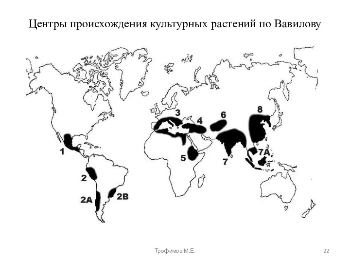 Центры происхождения культурных растений по Вавилову Трофимов М.Е.