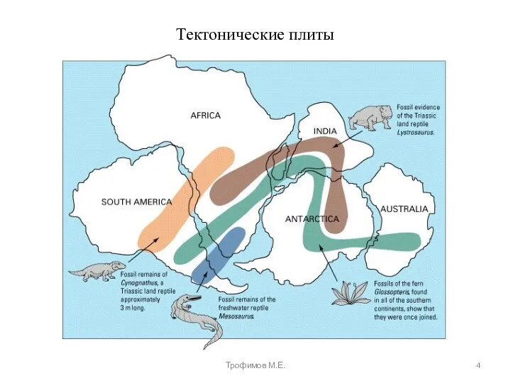 Тектонические плиты Трофимов М.Е.