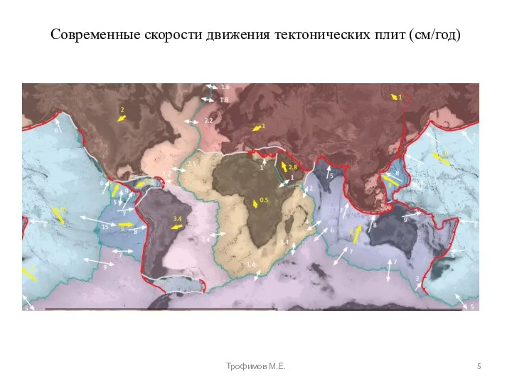 Современные скорости движения тектонических плит (см/год) Трофимов М.Е.