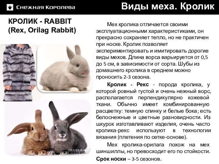 Виды меха. Кролик КРОЛИК - RABBIT (Rex, Orilag Rabbit) Мех