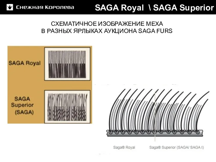 SAGA Royal \ SAGA Superior СХЕМАТИЧНОЕ ИЗОБРАЖЕНИЕ МЕХА В РАЗНЫХ ЯРЛЫКАХ АУКЦИОНА SAGA FURS