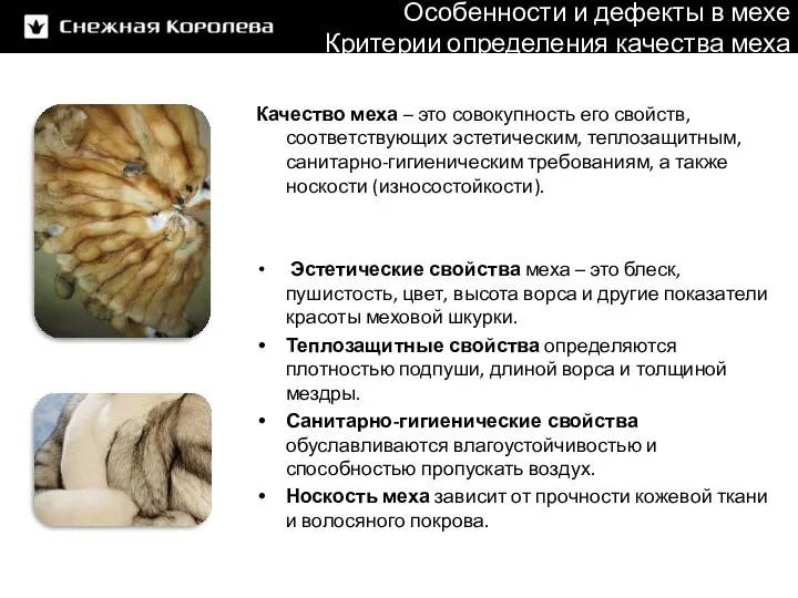 Особенности и дефекты в мехе Критерии определения качества меха Качество