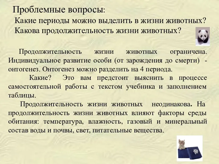 Проблемные вопросы: Какие периоды можно выделить в жизни животных? Какова