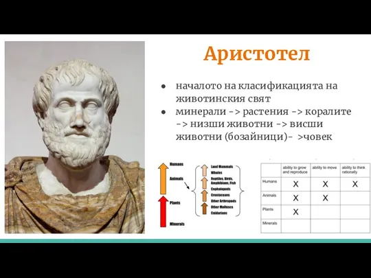 Аристотел началото на класификацията на животинския свят минерали -> растения