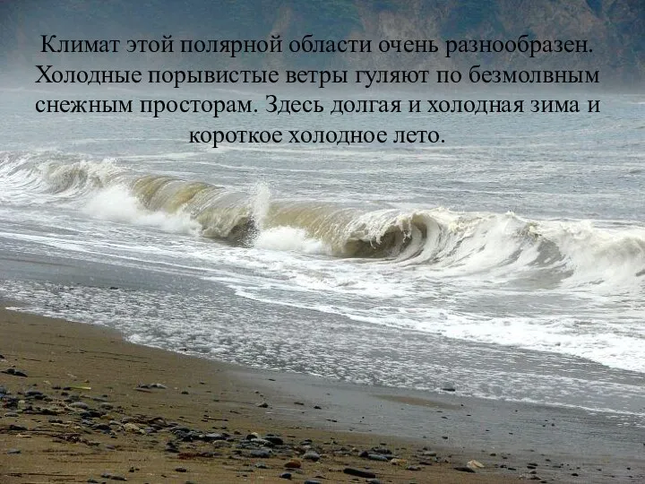 Климат этой полярной области очень разнообразен. Холодные порывистые ветры гуляют