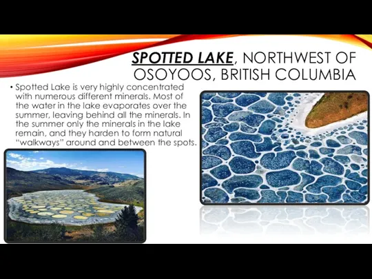SPOTTED LAKE, NORTHWEST OF OSOYOOS, BRITISH COLUMBIA Spotted Lake is