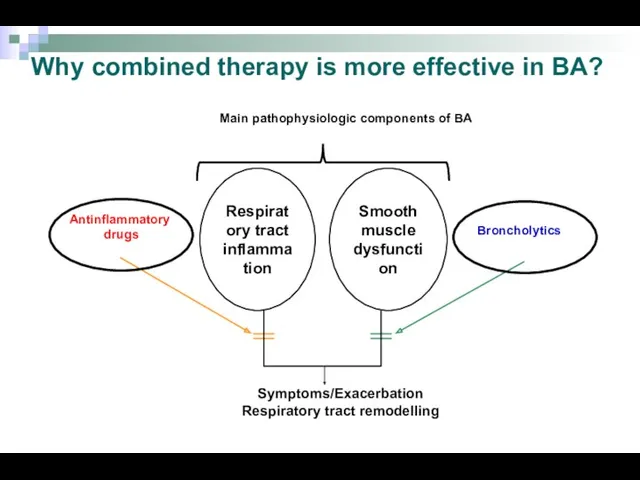 Why combined therapy is more effective in BA? Respiratory tract inflammation Smooth muscle