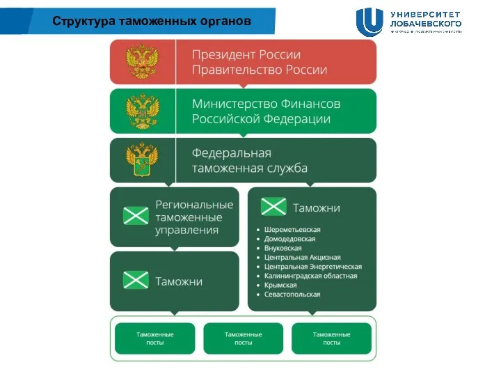 Структура таможенных органов