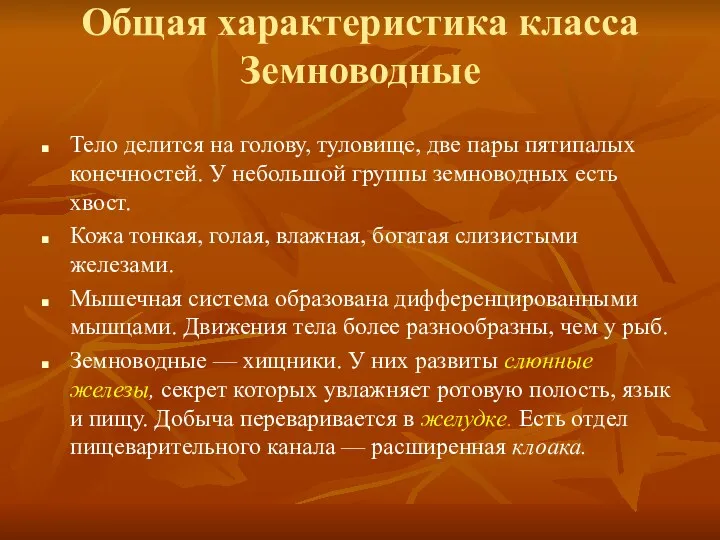 Общая характеристика класса Земноводные Тело делится на голову, туловище, две пары пятипалых конечностей.