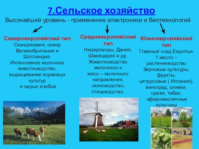 7.Сельское хозяйство Высочайший уровень - применение электроники и биотехнологий Североевропейский