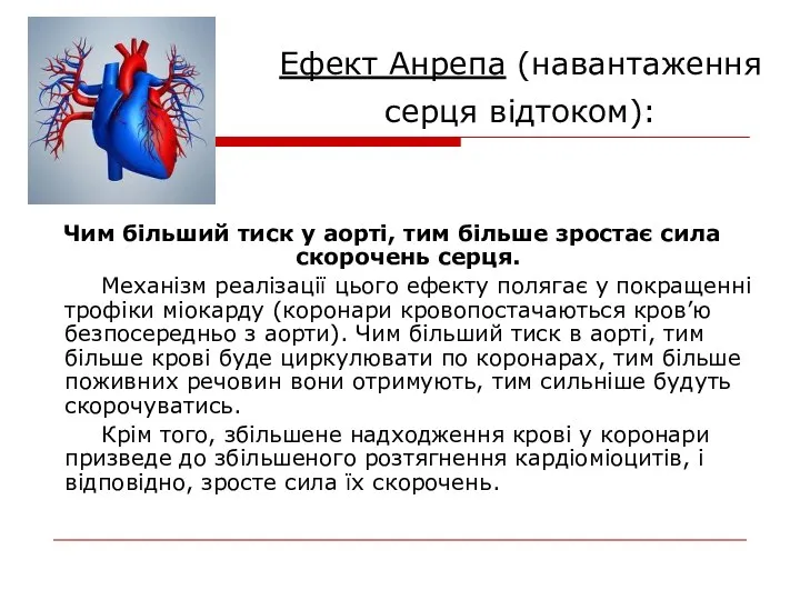 Ефект Анрепа (навантаження серця відтоком): Чим більший тиск у аорті,