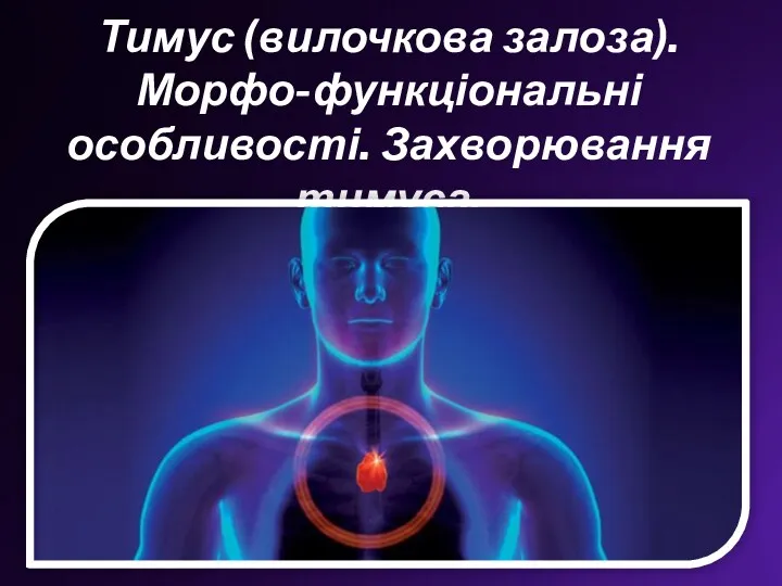 Тимус (вилочкова залоза). Морфо-функціональні особливості. Захворювання тимуса.