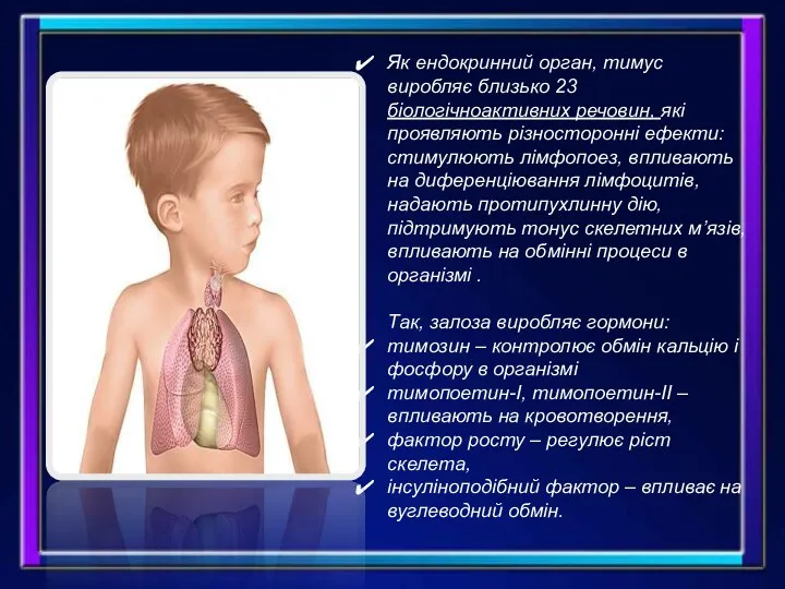 Як ендокринний орган, тимус виробляє близько 23 біологічноактивних речовин, які