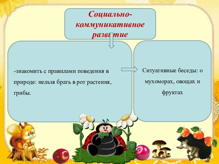 Социально-коммуникативное развитие -знакомить с правилами поведения в природе: нельзя брать