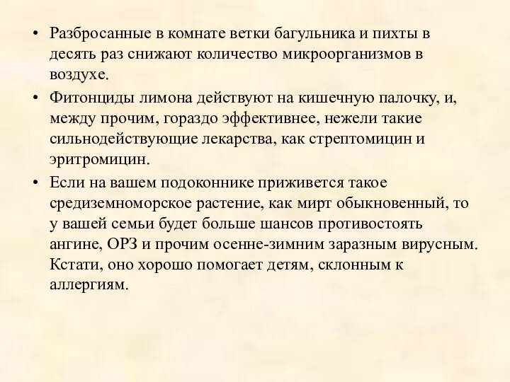 Разбросанные в комнате ветки багульника и пихты в десять раз