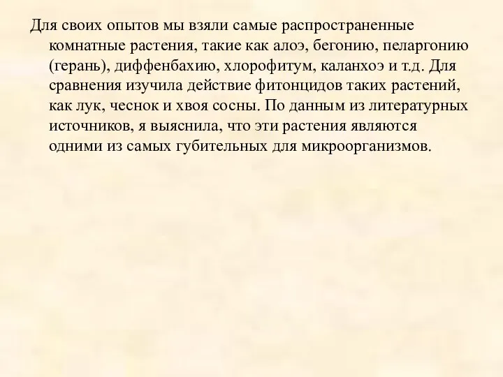 Для своих опытов мы взяли самые распространенные комнатные растения, такие