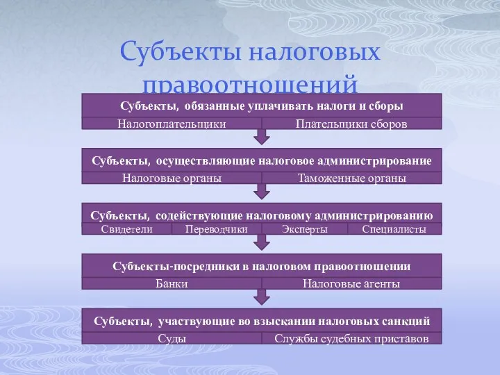 Субъекты налоговых правоотношений Субъекты, обязанные уплачивать налоги и сборы Субъекты,