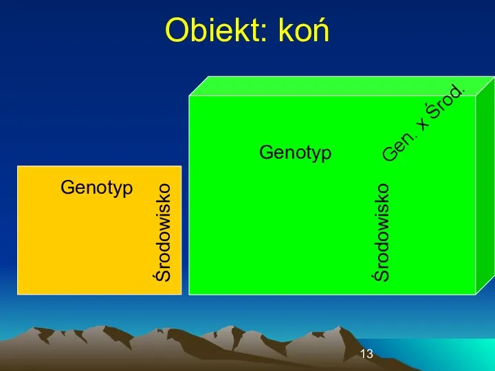 Obiekt: koń Genotyp Środowisko Środowisko Genotyp Gen. x Środ.