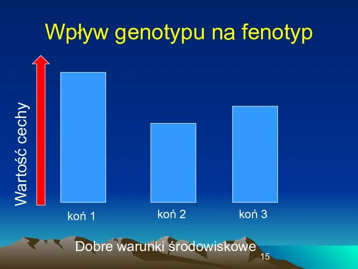 Wpływ genotypu na fenotyp Dobre warunki środowiskowe Wartość cechy koń 1 koń 3 koń 2