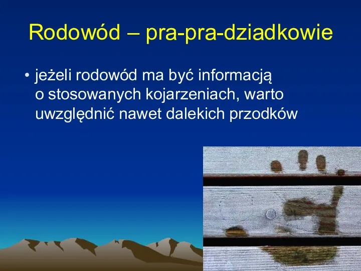 Rodowód – pra-pra-dziadkowie jeżeli rodowód ma być informacją o stosowanych kojarzeniach, warto uwzględnić nawet dalekich przodków