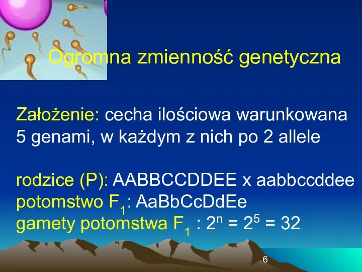 Ogromna zmienność genetyczna Założenie: cecha ilościowa warunkowana 5 genami, w