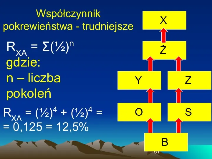 Współczynnik pokrewieństwa - trudniejsze RXA = Σ(½)n gdzie: n –