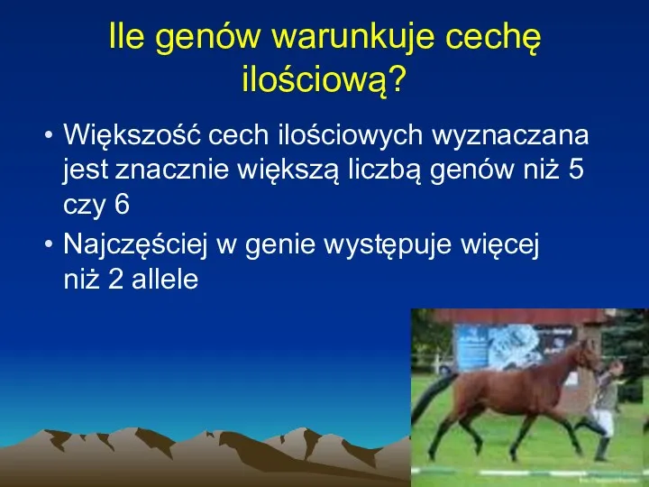 Ile genów warunkuje cechę ilościową? Większość cech ilościowych wyznaczana jest