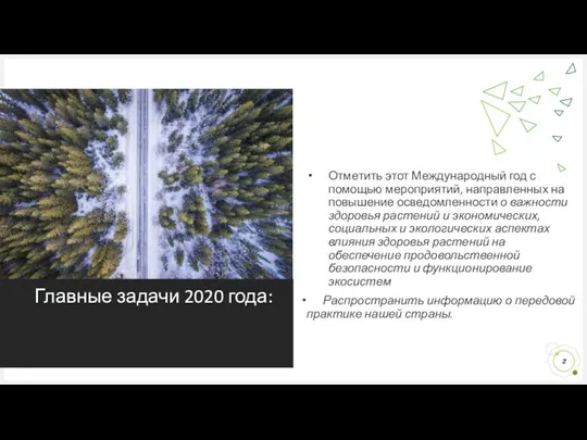 Главные задачи 2020 года: Отметить этот Международный год с помощью мероприятий, направленных на