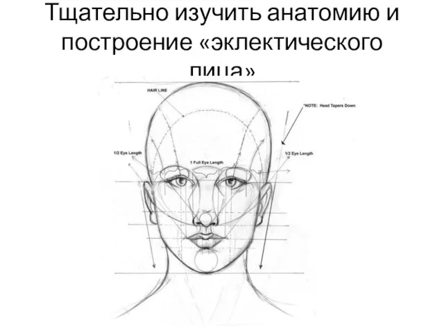 Тщательно изучить анатомию и построение «эклектического лица»