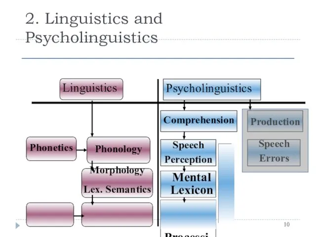 2. Linguistics and Psycholinguistics Phonetics Comprehension Linguistics Psycholinguistics Speech Perception