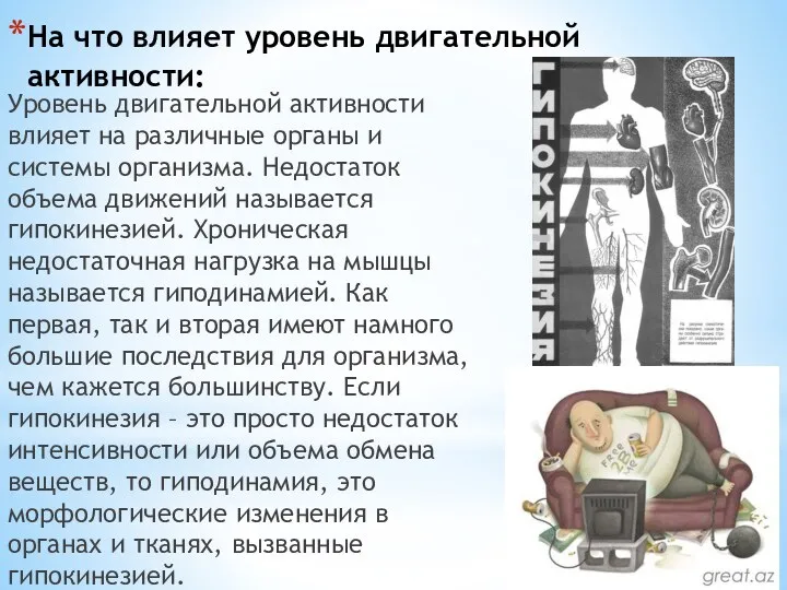 На что влияет уровень двигательной активности: Уровень двигательной активности влияет