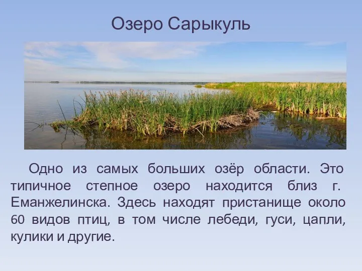 Озеро Сарыкуль Одно из самых больших озёр области. Это типичное