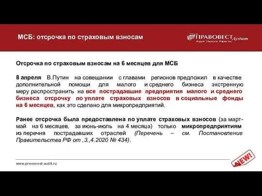 Отсрочка по страховым взносам на 6 месяцев для МСБ 8