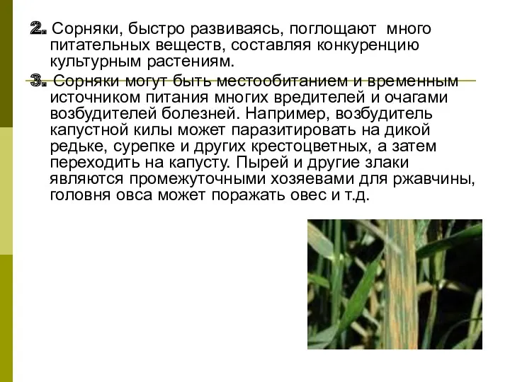 2. Сорняки, быстро развиваясь, поглощают много питательных веществ, составляя конкуренцию культурным растениям. 3.
