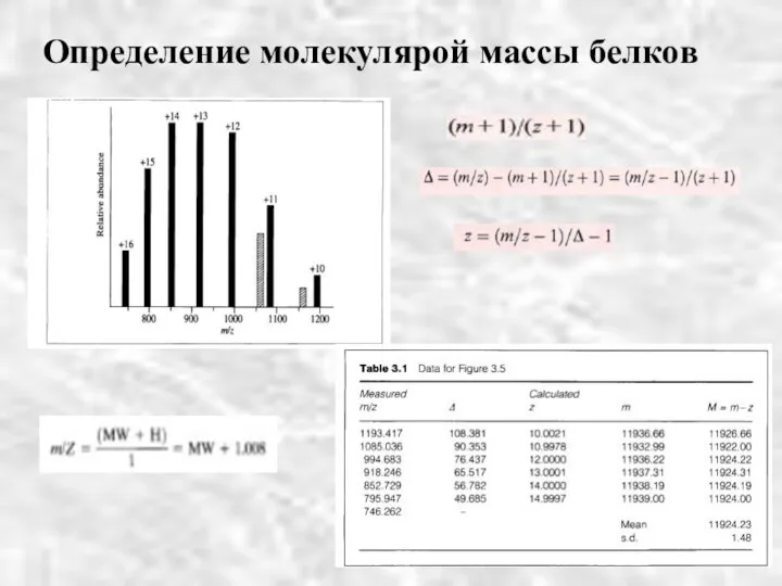 Определение молекулярой массы белков