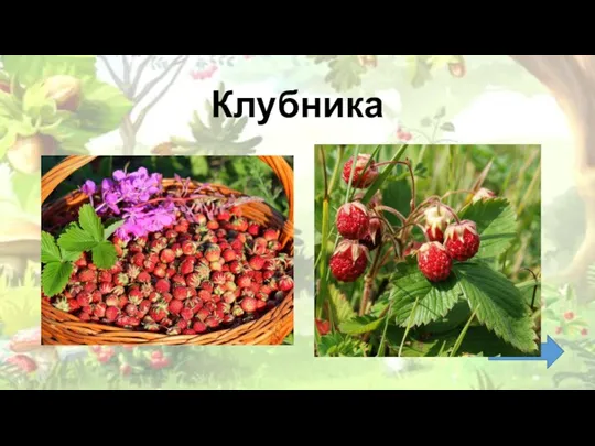 Клубника