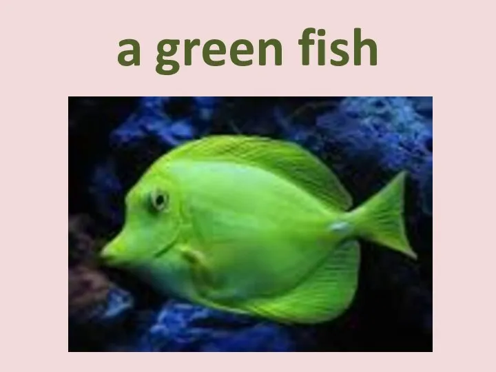a green fish