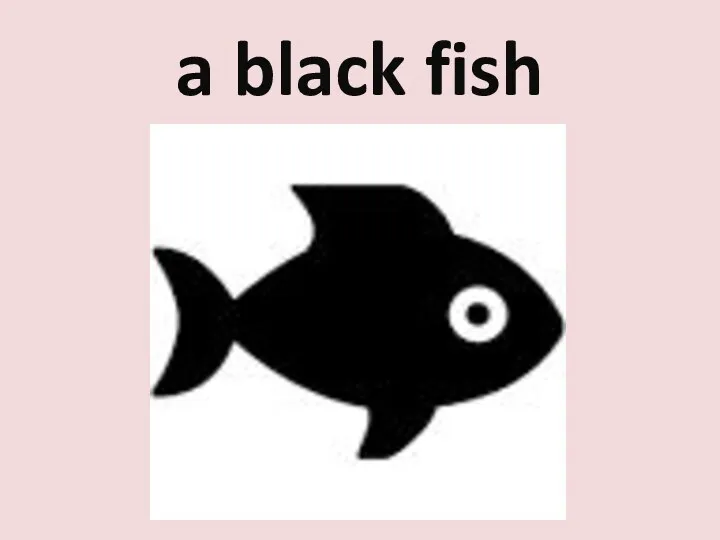 a black fish