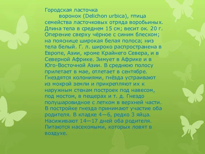 Городская ласточка воронок (Delichon urbica), птица семейства ласточковых отряда воробьиных.