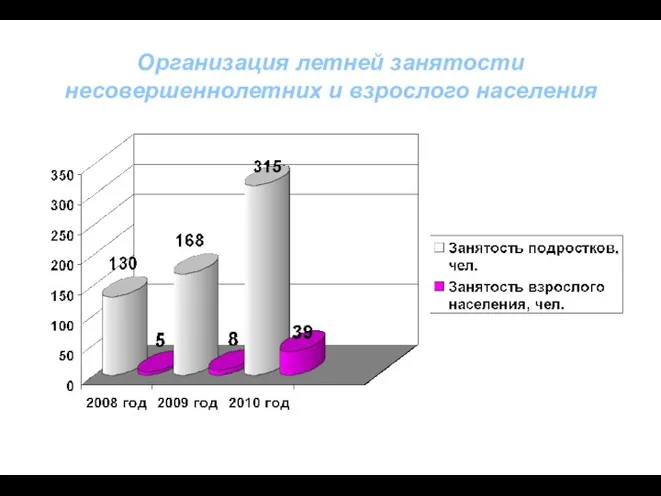 Организация летней занятости несовершеннолетних и взрослого населения