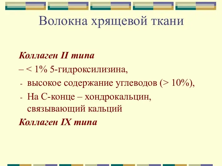 Волокна хрящевой ткани Коллаген II типа – высокое содержание углеводов